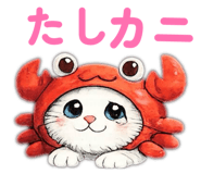 845185214