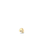845185446