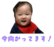 845185455