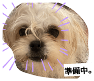 845185792