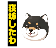 845185949