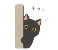 845185987
