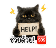 845186589