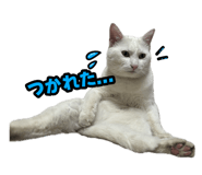 845186987