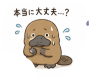 845187347