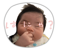 845187487
