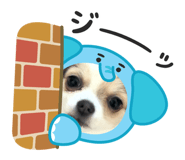 845187685