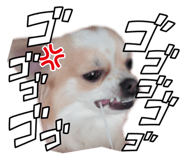 845187688