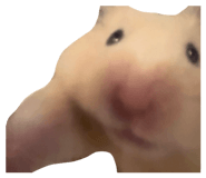 845188105