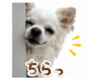 845188200