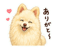 845188609