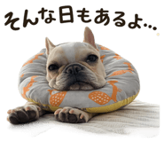 845189112