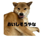 845190480