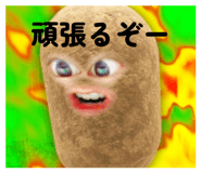 845190610