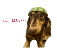 845190930