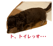 845190932