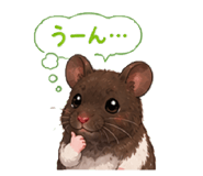 845191025