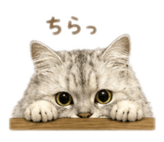 845191287