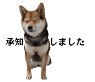 845191467