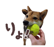 845191468