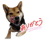 845191470