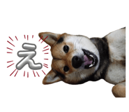 845191486