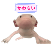 845191487