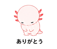 845192065