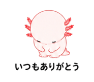 845192078