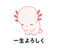 845192080