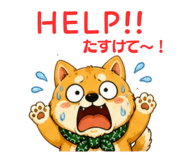 845192239