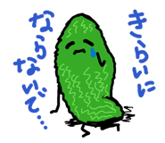 845192569