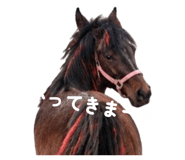 845192731