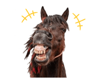 845192735