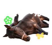 845192740