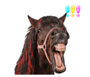 845192744