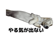 845193154