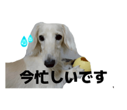 845193158
