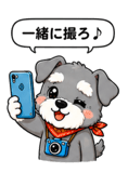 845193628
