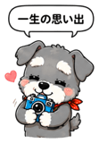 845193632