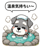 845193645