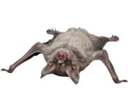 845193910