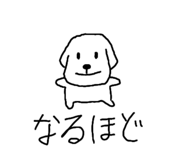 845195505
