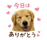 845195541