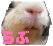 845197124