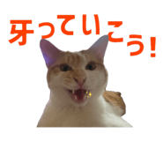 845197220