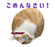 845197231