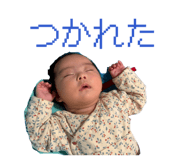 845197557