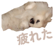 845197617