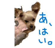 845198349